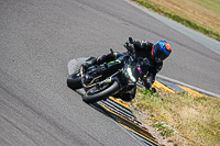Middle Group Black Bikes
